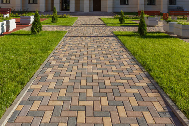 Best Residential Paver Driveway  in Atwater, MN